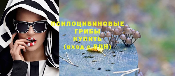 винт Бугульма