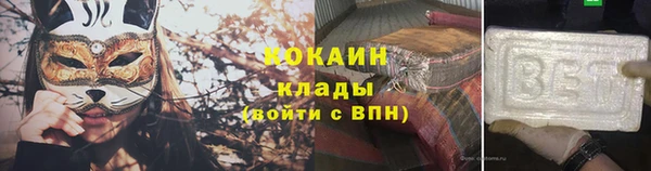 шишки Бронницы