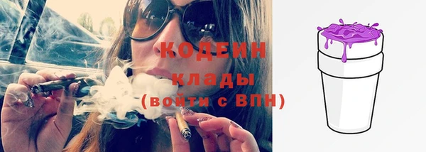 шишки Бронницы