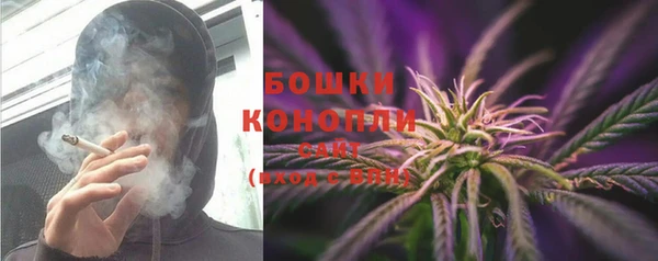 шишки Бронницы