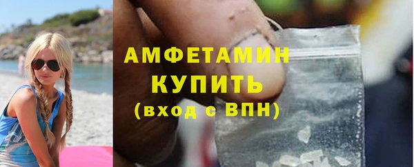 шишки Бронницы