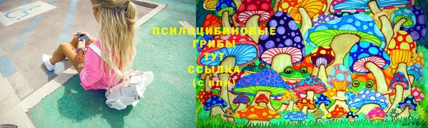шишки Бронницы