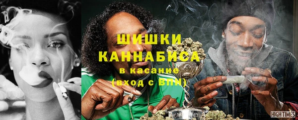 шишки Бронницы