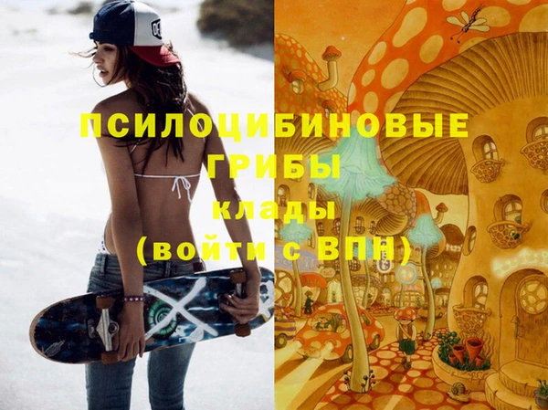 шишки Бронницы