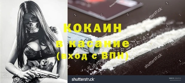 мет Бородино